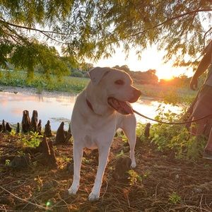 Meet your Posher, Kierstyn